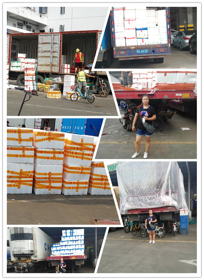 赏金船主·PG(中国游)官方网站