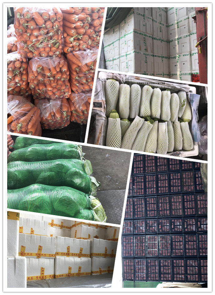 赏金船主·PG(中国游)官方网站