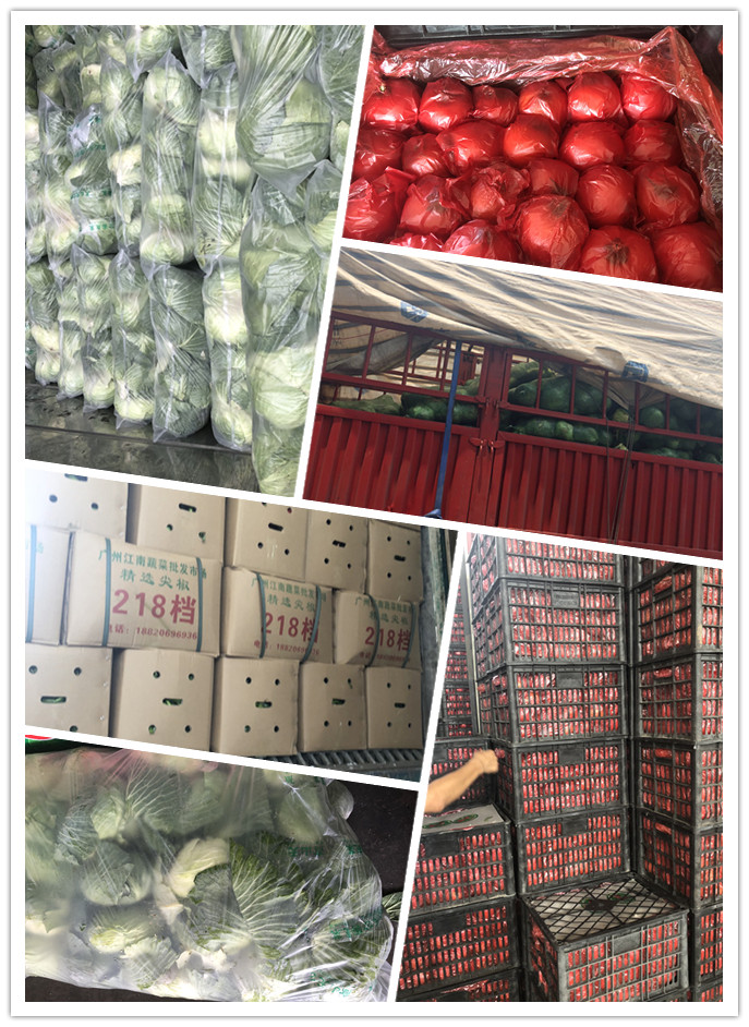 赏金船主·PG(中国游)官方网站