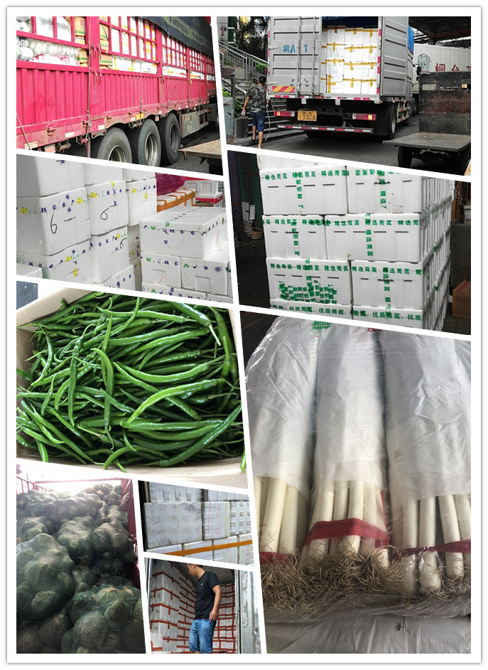 赏金船主·PG(中国游)官方网站