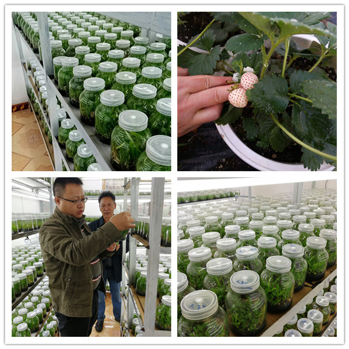 赏金船主·PG(中国游)官方网站