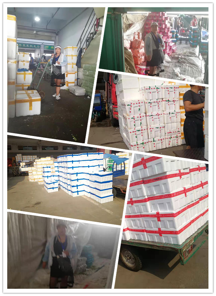 赏金船主·PG(中国游)官方网站