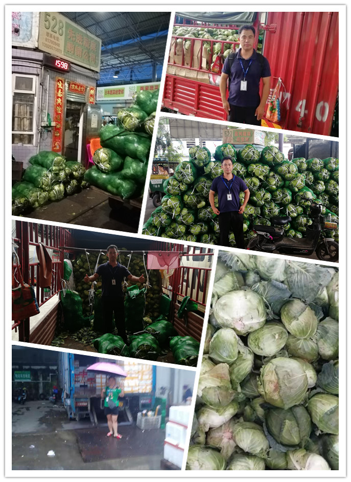 赏金船主·PG(中国游)官方网站