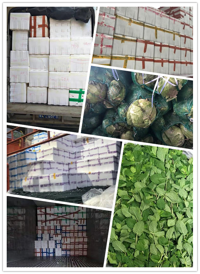 赏金船主·PG(中国游)官方网站