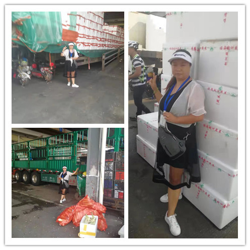 赏金船主·PG(中国游)官方网站