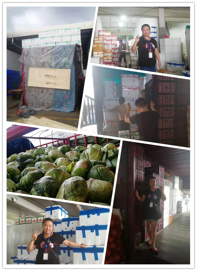 赏金船主·PG(中国游)官方网站