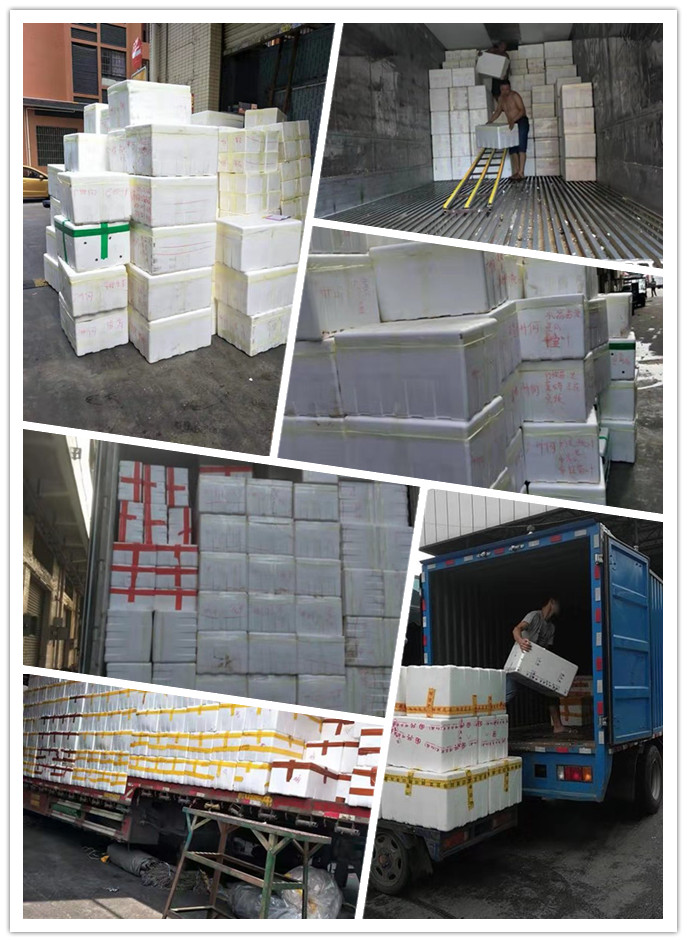 赏金船主·PG(中国游)官方网站