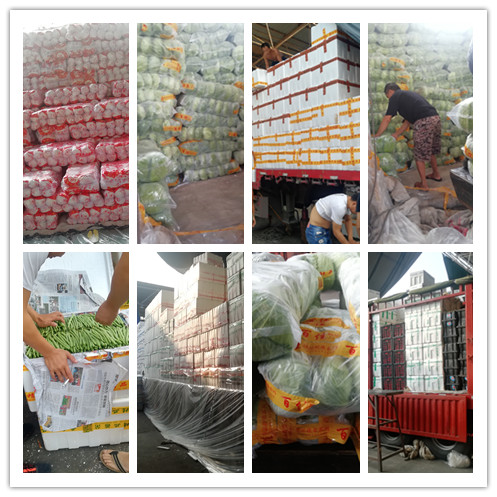 赏金船主·PG(中国游)官方网站