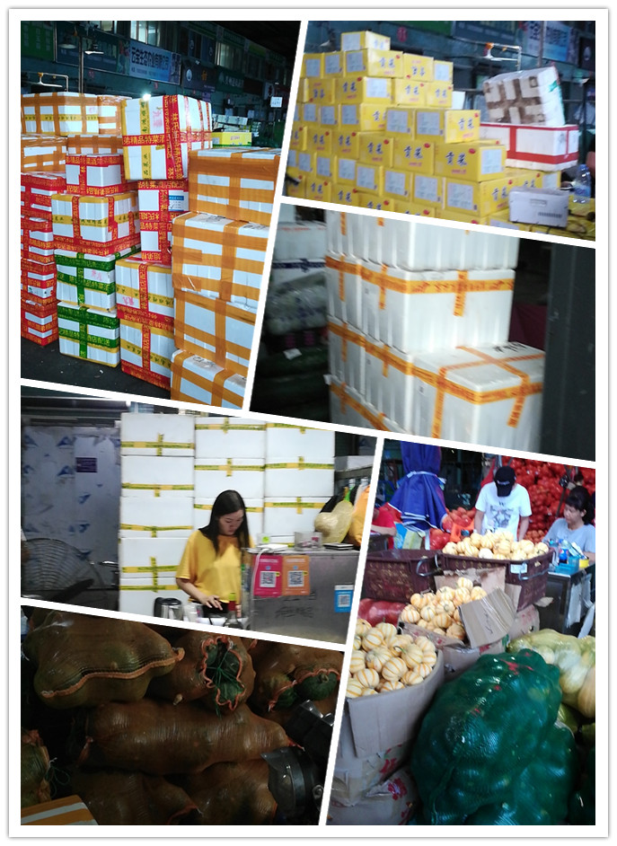 赏金船主·PG(中国游)官方网站