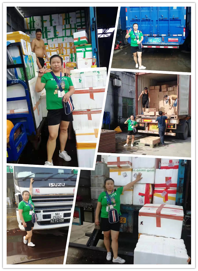 赏金船主·PG(中国游)官方网站