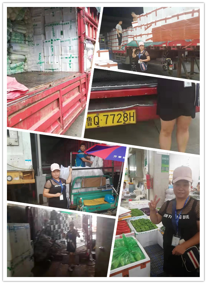 赏金船主·PG(中国游)官方网站