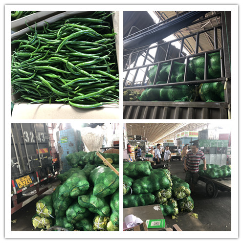 赏金船主·PG(中国游)官方网站