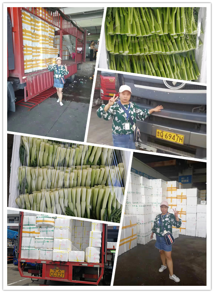 赏金船主·PG(中国游)官方网站