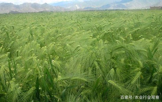 赏金船主·PG(中国游)官方网站