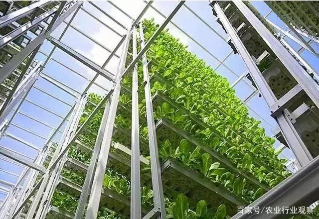 赏金船主·PG(中国游)官方网站