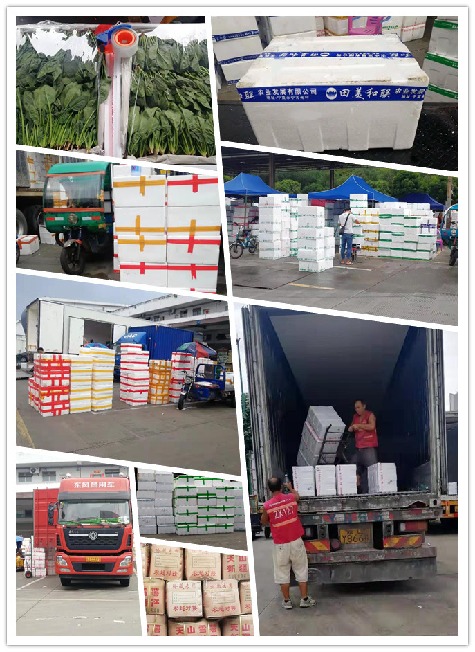 赏金船主·PG(中国游)官方网站