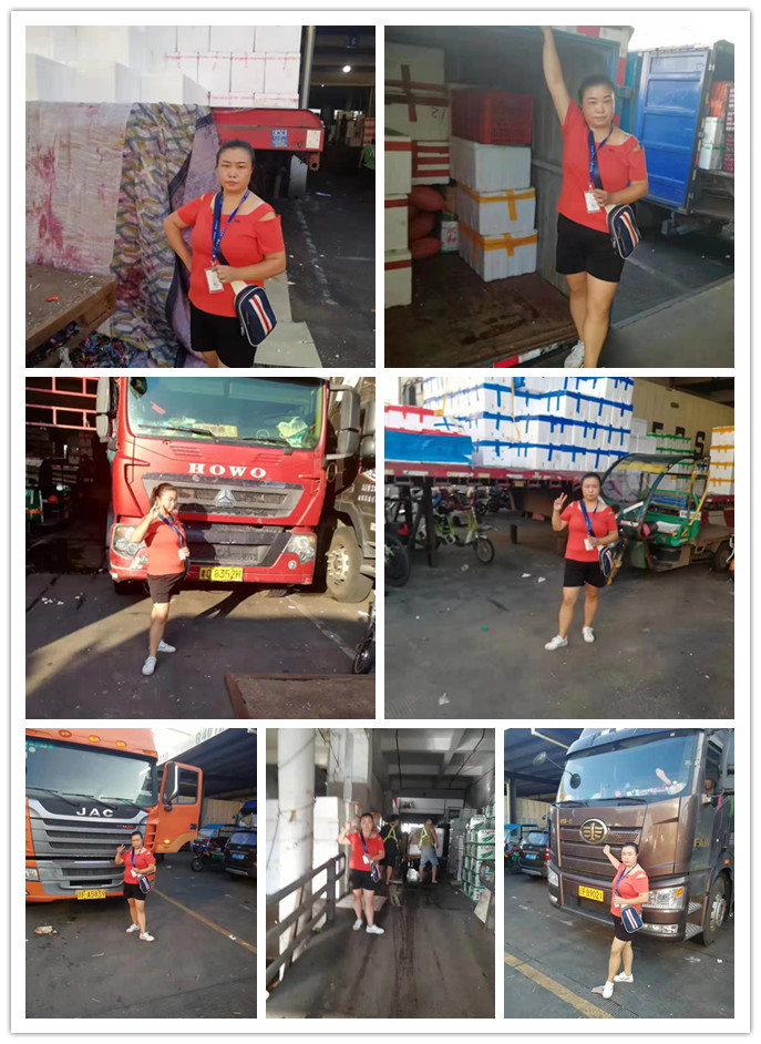 赏金船主·PG(中国游)官方网站