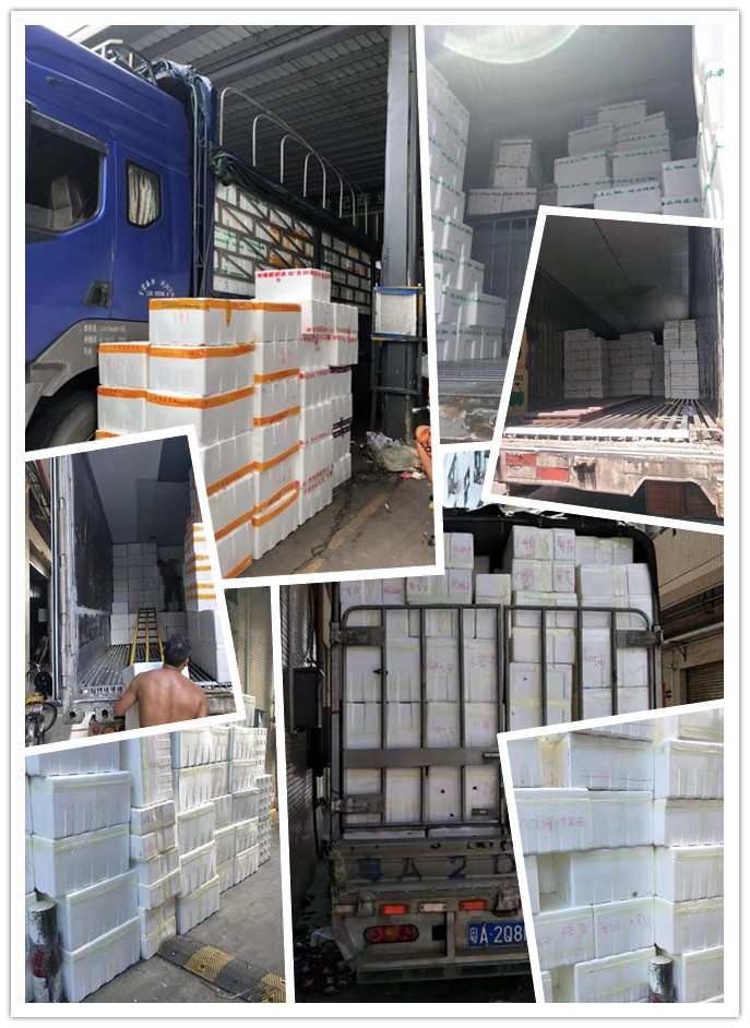 赏金船主·PG(中国游)官方网站