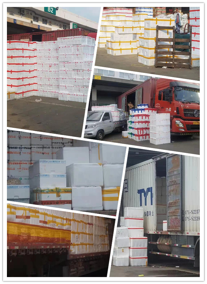 赏金船主·PG(中国游)官方网站