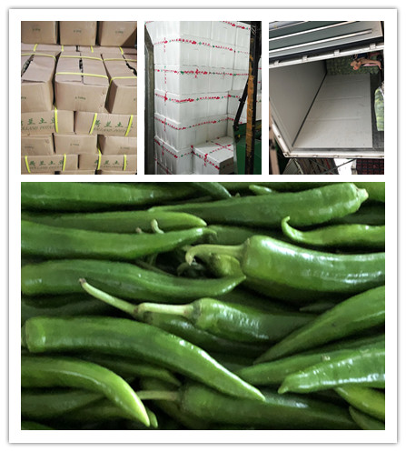 赏金船主·PG(中国游)官方网站