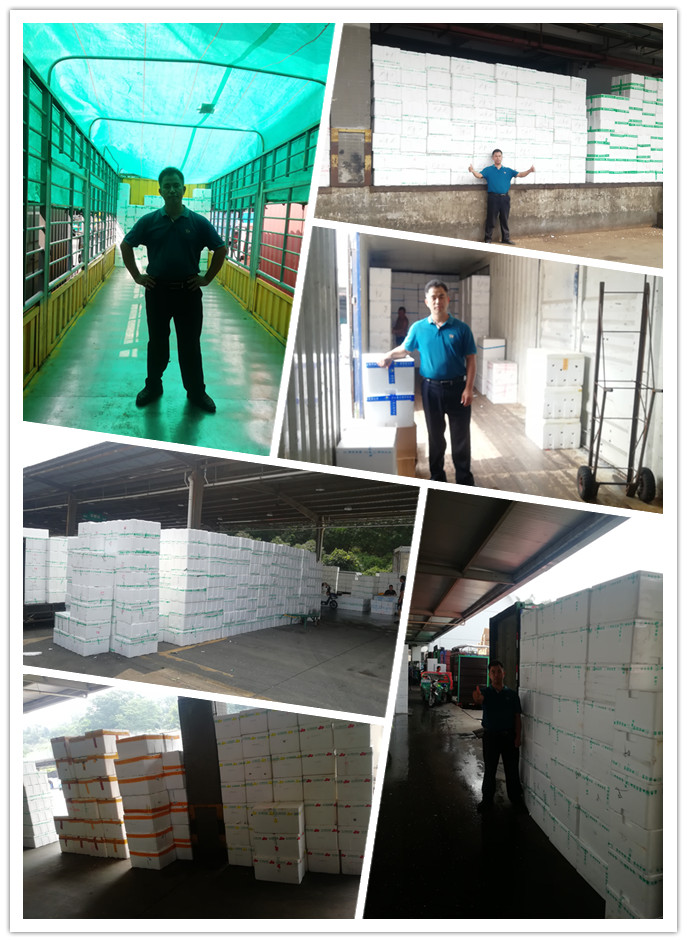 赏金船主·PG(中国游)官方网站