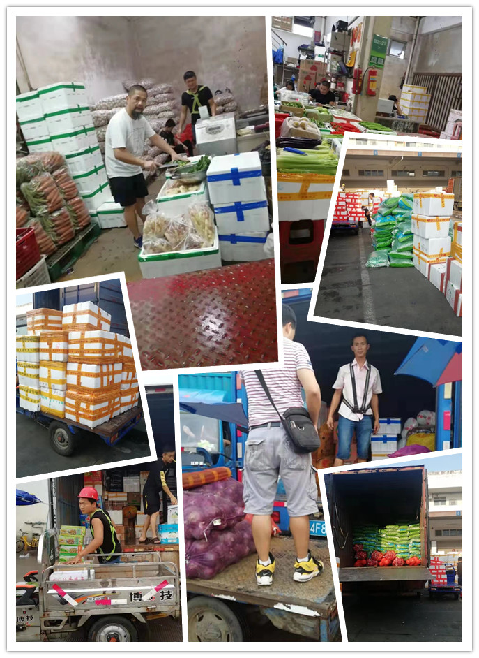 赏金船主·PG(中国游)官方网站