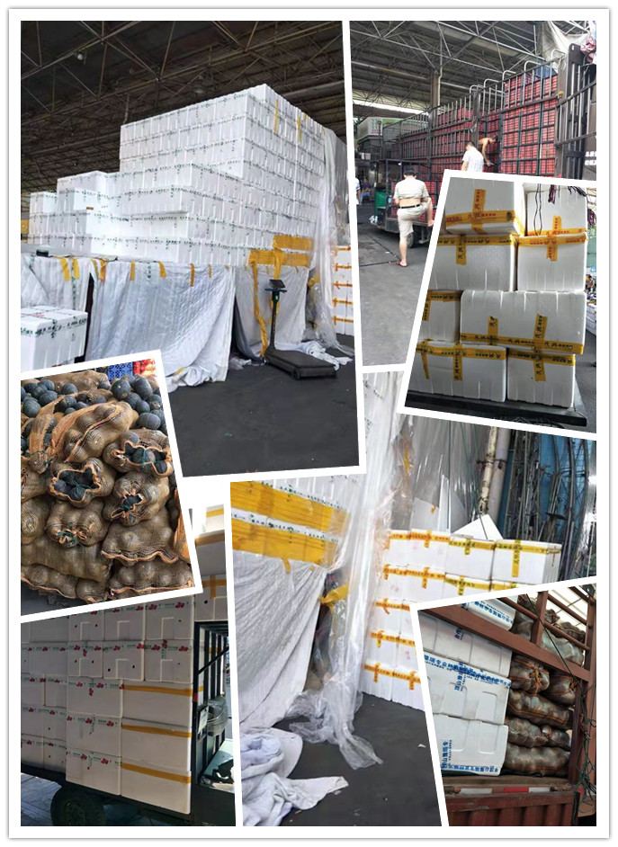 赏金船主·PG(中国游)官方网站