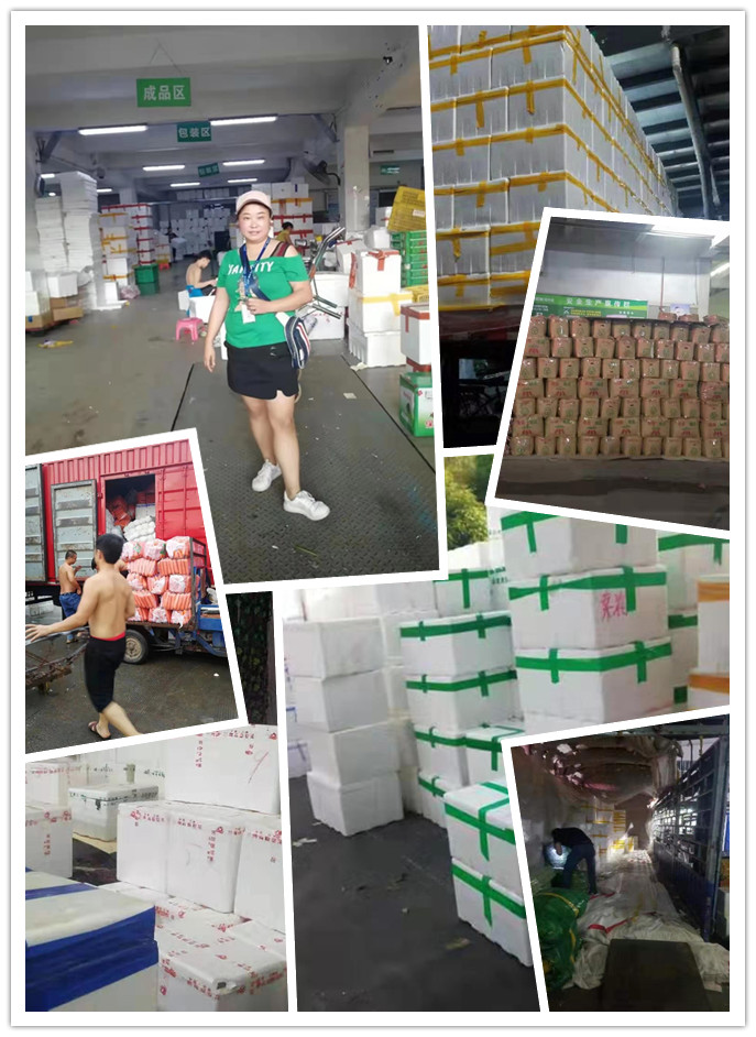 赏金船主·PG(中国游)官方网站