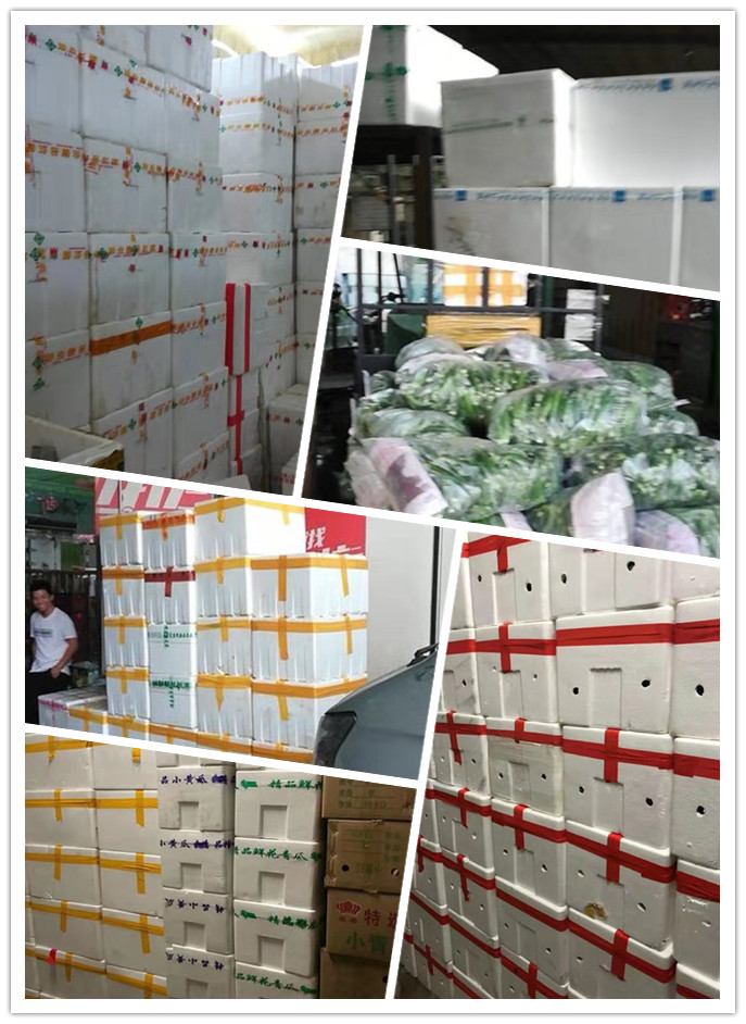 赏金船主·PG(中国游)官方网站