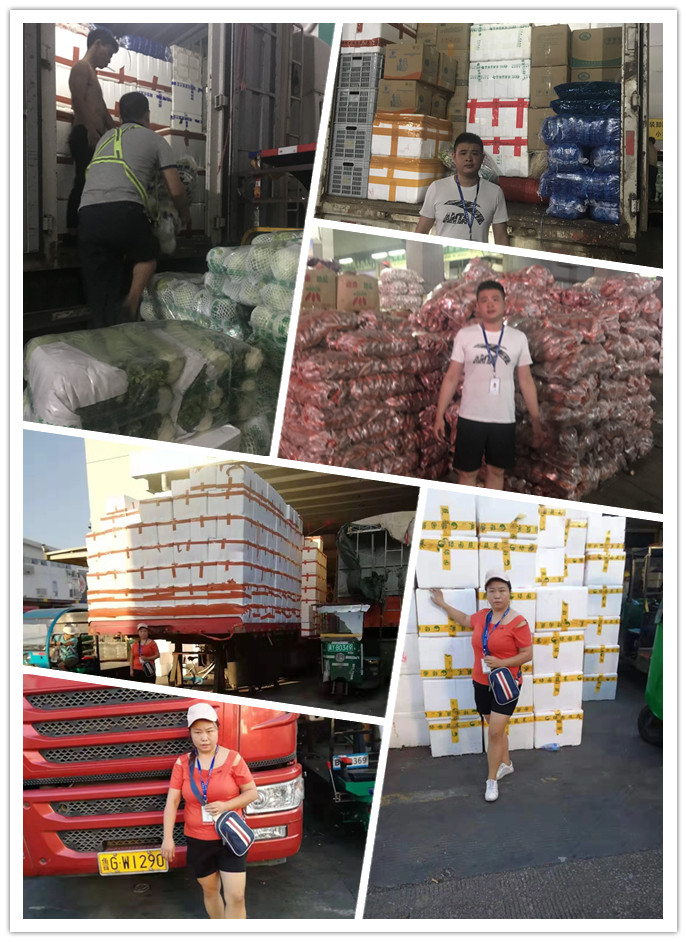 赏金船主·PG(中国游)官方网站