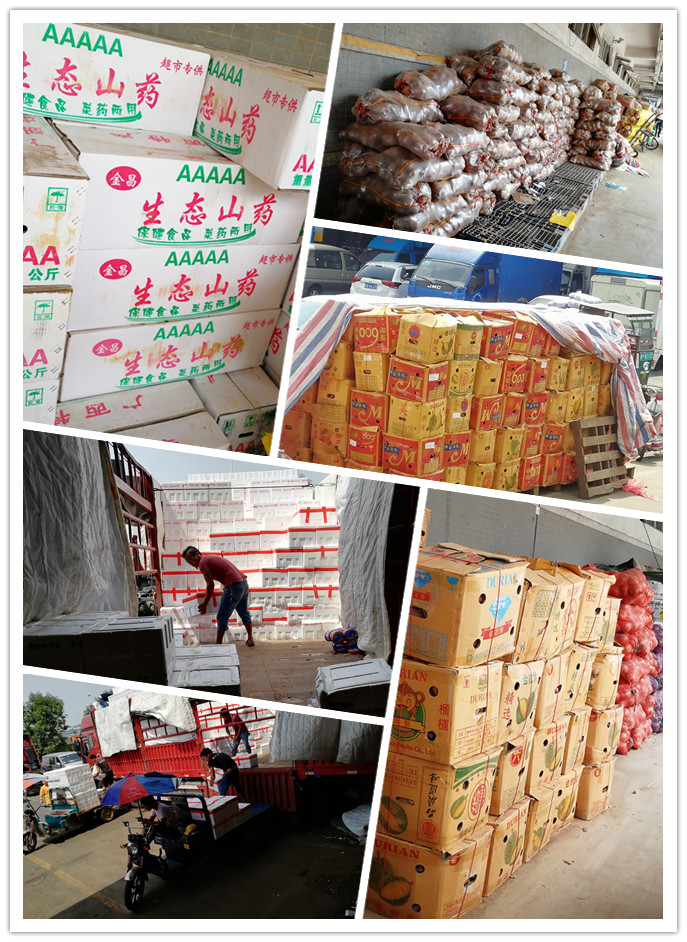 赏金船主·PG(中国游)官方网站