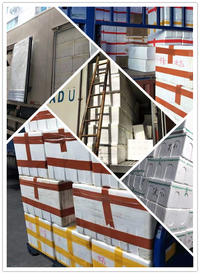 赏金船主·PG(中国游)官方网站