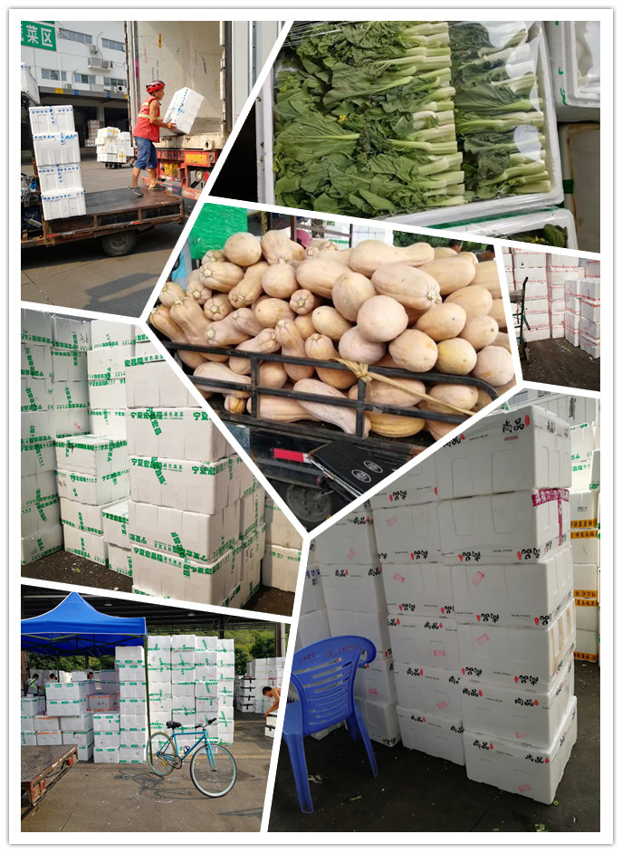 赏金船主·PG(中国游)官方网站