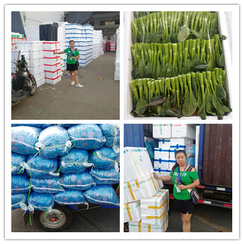 赏金船主·PG(中国游)官方网站