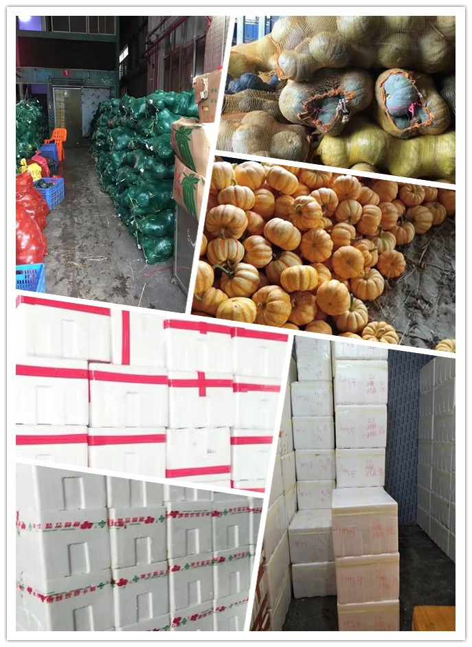 赏金船主·PG(中国游)官方网站