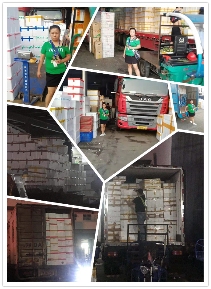 赏金船主·PG(中国游)官方网站