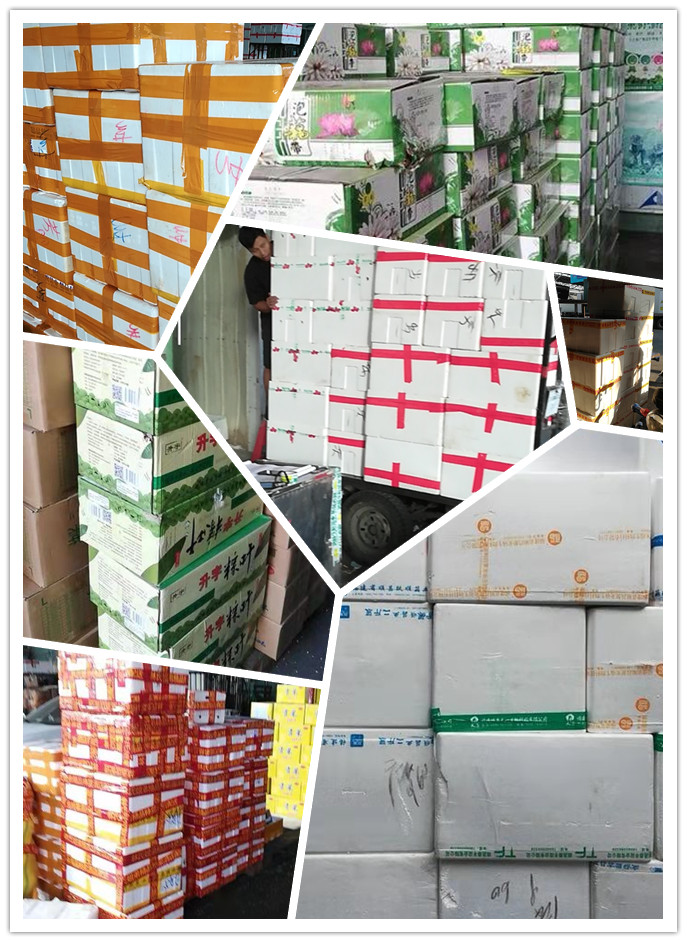 赏金船主·PG(中国游)官方网站