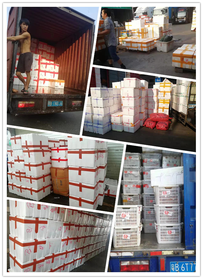 赏金船主·PG(中国游)官方网站