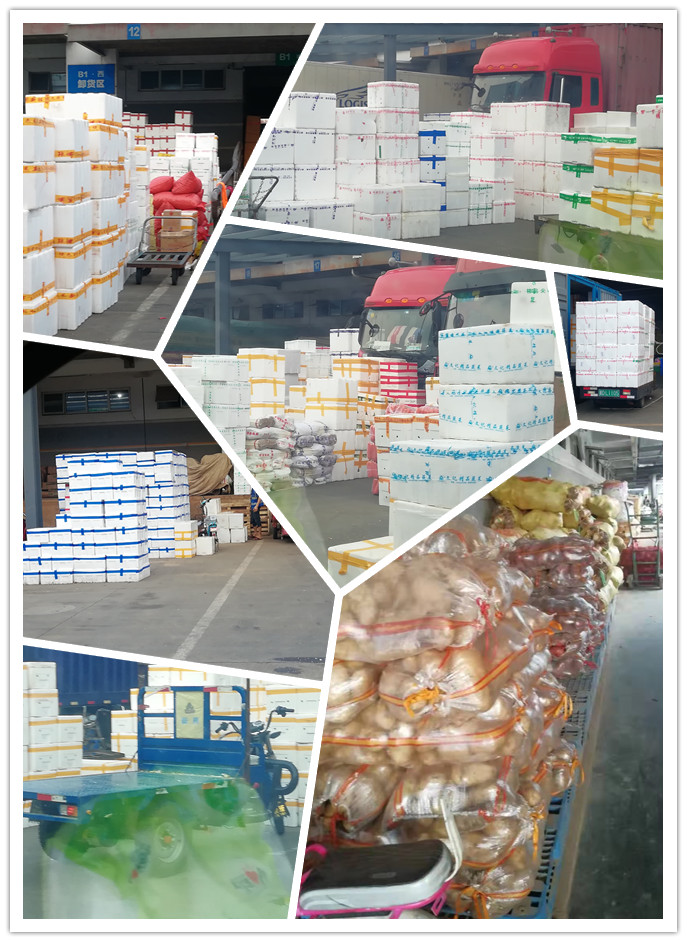 赏金船主·PG(中国游)官方网站