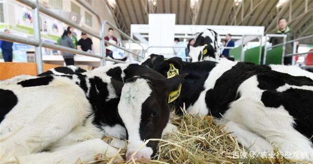 赏金船主·PG(中国游)官方网站