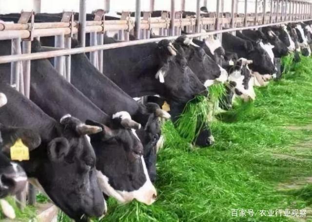 赏金船主·PG(中国游)官方网站