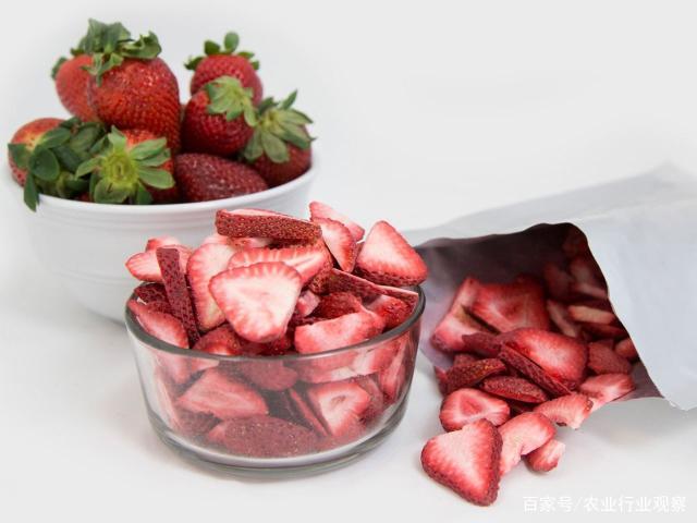 赏金船主·PG(中国游)官方网站