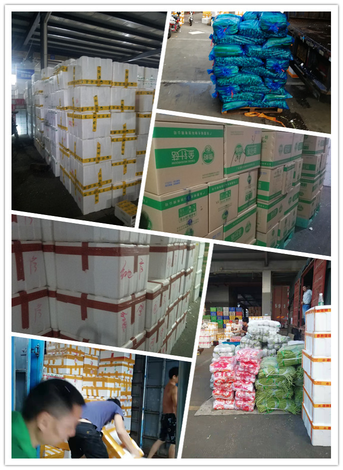 赏金船主·PG(中国游)官方网站