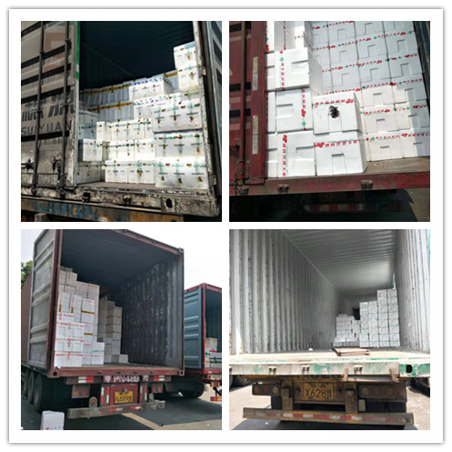 赏金船主·PG(中国游)官方网站