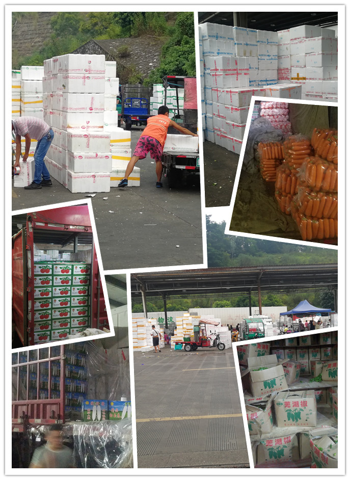 赏金船主·PG(中国游)官方网站