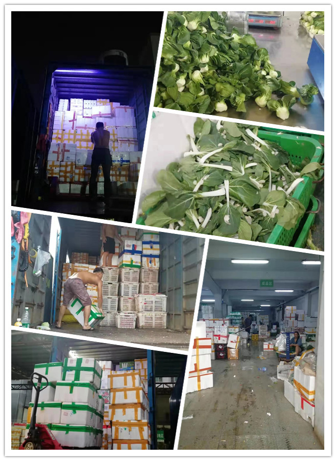 赏金船主·PG(中国游)官方网站