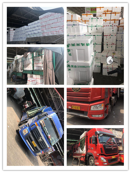 赏金船主·PG(中国游)官方网站