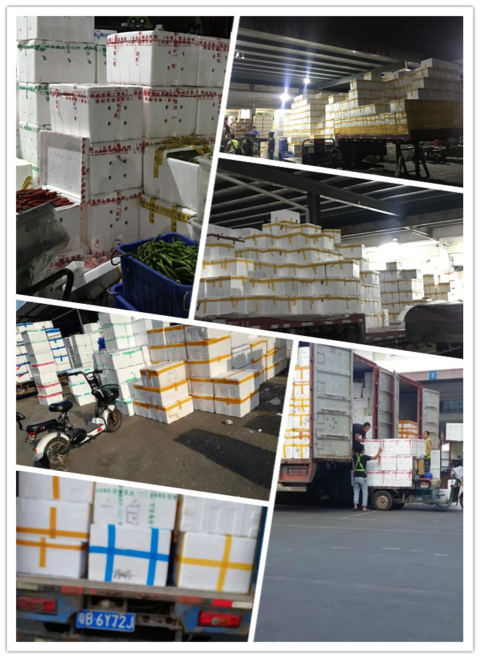 赏金船主·PG(中国游)官方网站