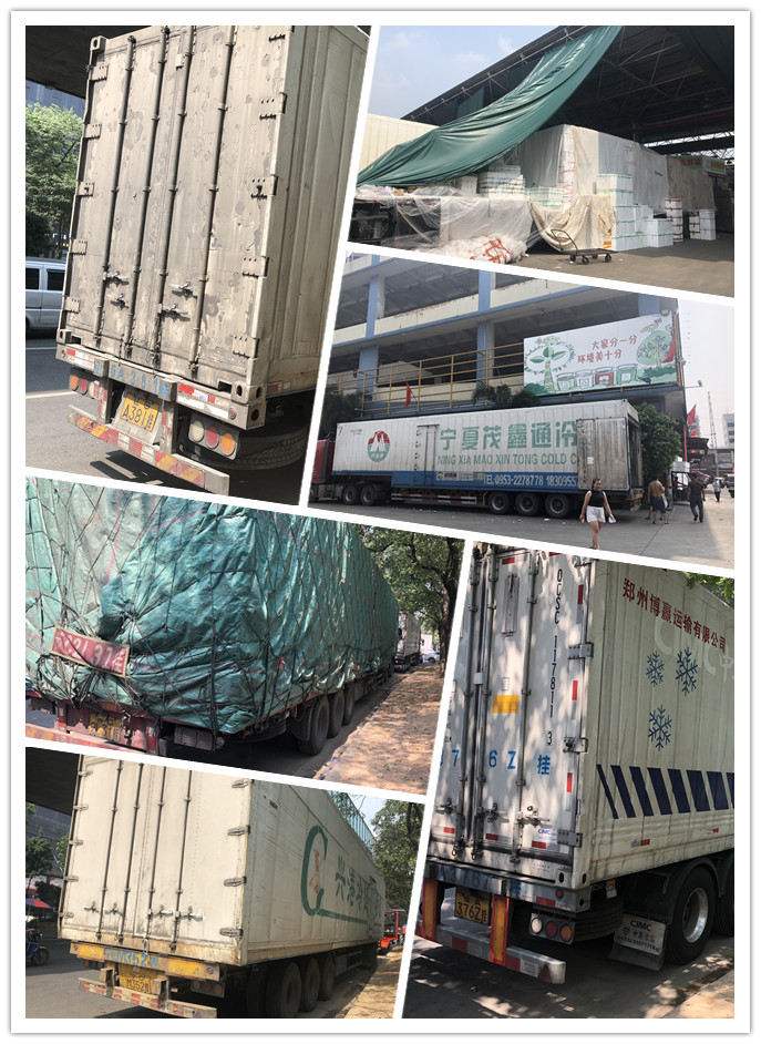 赏金船主·PG(中国游)官方网站