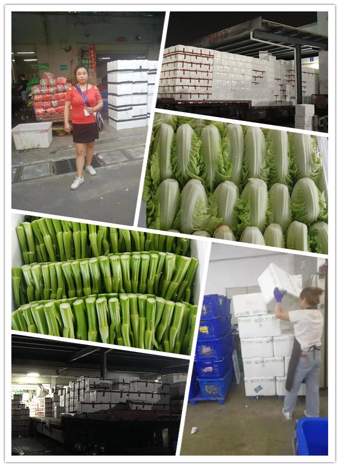 赏金船主·PG(中国游)官方网站